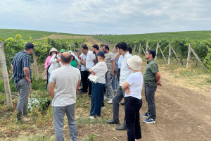 Aqrar sığorta eksperti olmaq istəyən namizədlər üçün növbəti təlimlər keçirilib