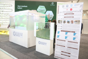 Presidential Assistants Shahmar Movsumov and Khalid Ahadov Visited the Caspian Agro 2026 and InterFood Azerbaijan Exhibitions