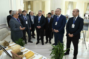 ADAU-da “I Yaşıl İqtisadiyyat” Beynəlxalq Forumu keçirilib