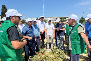 Aqrar sığorta ekspertləri üçün keçirilən təlimlər başa çatıb