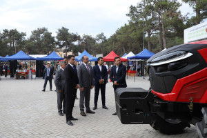 Masallı və Neftçalada növbəti toxum sərgi-satış yarmarkaları keçirilib