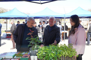 Laçın rayonunda Aqrar Biznes Festivalı keçirilib