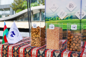 Tovuzda Aqrar Biznes Festivalı və Toxum Sərgi-Satış Yarmarkası keçirilib