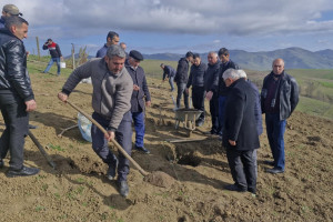 Lerikdə üzümçü fermerlər üçün tarla seminarları keçirilib