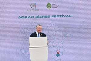 Masallıda Aqrar Biznes Festivalı keçirilib