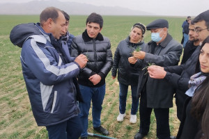 Hacıqabulda fermerlər üçün seminar keçirilib