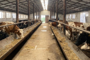 Aqrar Sığorta Fondunun İdarə Heyətinin sədri Fuad Sadıqov Xızıda vətəndaşlarla görüşüb, təsərrüfatlara baş çəkib