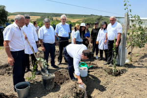 Şamaxıda Moldovanın ekoloji stress amillərinə davamlı üzüm sortlarından ibarət nümayiş bağı salınıb