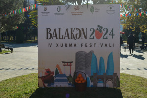 Balakən rayonunda IV Xurma Festivalı keçirilib