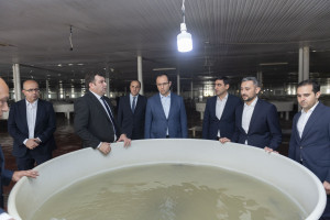 Nazir Məcnun Məmmədov Neftçalada “Xıllı balıq" MMC-nin fəaliyyəti ilə tanış olub