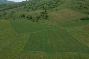 “AzerGold” QSC tərəfindən icra edilən “Daşkəsən rayonunda kartofçuluq təsərrüfatının inkişafına dəstək” layihəsi uğurla sona çatıb