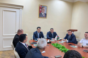 Balakəndə qəhvəyi mərmər bağacığı ilə mübarizəyə həsr olunmuş növbəti iclas keçirilib