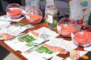 Laçın rayonunda Aqrar Biznes Festivalı keçirilib