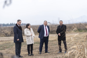 Kənd təsərrüfatı nazirinin müavini İlhamə Qədimova Tovuzda vətəndaşları qəbul edib, fermerlərlə görüşüb