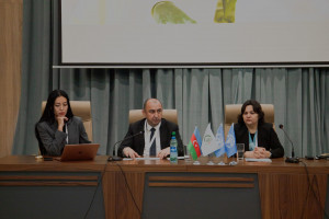 Regional iqlim seminarı panel sessiyalarla öz işini davam etdirir