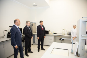 Latviya nümayəndə heyəti Tərəvəzçilik Elmi-Tədqiqat İnstitutunun fəaliyyəti ilə tanış olub