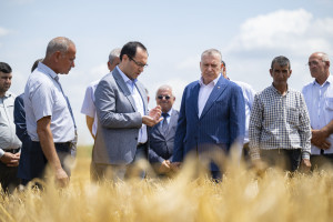 Nazir Məcnun Məmmədov Sabirabadda taxıl biçinində iştirak edib, fermerlərlə görüşüb