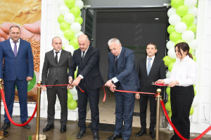 Aqrar sığorta sistemi şəbəkəsini genişləndirir