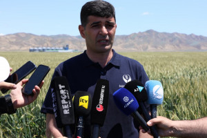 Hacıqabul rayonunda media nümayəndələrinin iştirakı ilə toxumluq əkinlərdə aprobasiya prosesi həyata keçirilib