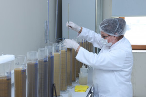 AXA-nın Mərkəzi Laboratoriyasında “Açıq qapı” günü keçirilib