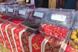 Göygöl rayonunda III Moruq və Aqrar Biznes Festivalları keçirilib