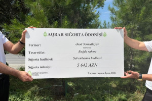 Aqrar Sığorta Fondu Xaçmaz və Xızıda təsərrüfatlara dəymiş zərərlər üzrə sığorta ödənişləri həyata keçirib
