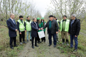 Quba və Xaçmazda təsərrüfatlara 100 min manata yaxın aqrar sığorta ödənişi edilib