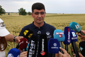 “Toxumçuluğun inkişafında sertifikatlaşmanın əhəmiyyəti” mövzusunda tədbir keçirilib
