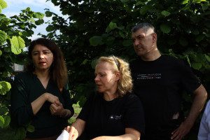 Qəhvəyi mərmər bağacığına qarşı mübarizə tədbirləri çərçivəsində Zaqatalaya sahə səfəri təşkil olunub