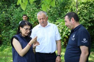 Azərbaycanda yetişdirilən samuray arıları ilk dəfə təbiətə buraxılıb
