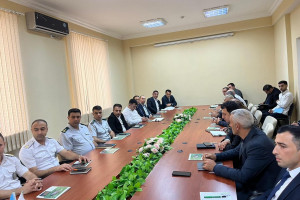 Balakəndə qəhvəyi mərmər bağacığı ilə mübarizəyə həsr olunmuş növbəti iclas keçirilib