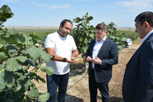 Elm, təhsil və insan resursları şöbəsinin müdiri İlham Süleymanov Ağstafada vətəndaşları qəbul edib, təsərrüfatlara baş çəkib