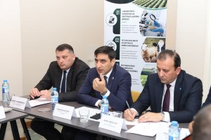 Qəhvəyi mərmər bağacığının qarşısının alınması və idarə olunması mövzusunda seminar keçirilib