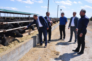 AKİA sədri Yalçın Camalov Saatlıda vətəndaşlarla görüşüb, təsərrüfatlara baş çəkib