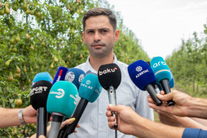 Quba, Qusar və Xaçmazda təsərrüfatlara mediatur təşkil edilib