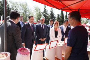 Şamaxıda növbəti toxum sərgi-satış yarmarkası keçirilib
