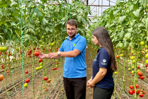 Şəmkirdə müasir tərəvəzçilik və innovativ istixana texnologiyaları ilə tanışlıq olub