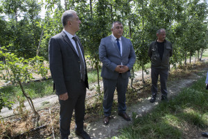 Kənd təsərrüfatı nazirinin müavini Elçin Zeynalov Şabranda vətəndaşları qəbul edib, təsərrüfatlara baş çəkib