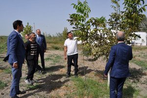 Salyanda «Dayanıqlı fermer təsərrüfatı üçün aqrar sığorta» mövzusunda tədbir keçirilib