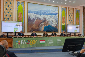 Nazir müavini Elçin Zeynalov FAO-nun Regional Konfransının 35-ci sessiyasında iştirak edir