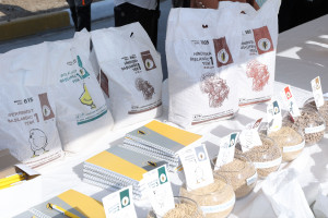 Hacıqabulda növbəti Aqrar Biznes Festivalı və toxum sərgi-satış yarmarkası keçirilib