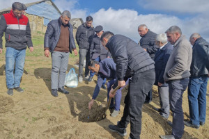 Lerikdə üzümçü fermerlər üçün tarla seminarları keçirilib