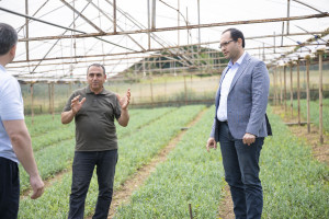 Nazir Məcnun Məmmədov Lerikdə təsərrüfatlara baxış keçirib, fermerlərlə görüşüb