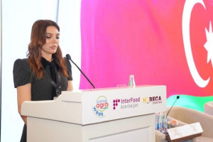 Panel discussions of the II International Agrarian Innovation Forum within the framework of public-private partnership have concluded