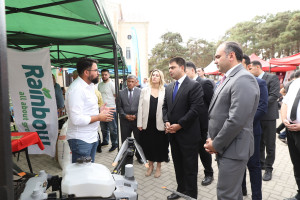 Masallı və Neftçalada növbəti toxum sərgi-satış yarmarkaları keçirilib