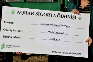 Qobustanda doludan zərər çəkən fermerlərə aqrar sığorta ödənişləri edilib