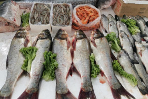 Bakıda balıq yarmarkası keçirilir