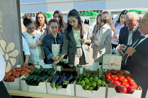 Naxçıvan Muxtar Respublikasında ilk dəfə olaraq toxum sərgi–satış yarmarkası keçirilib