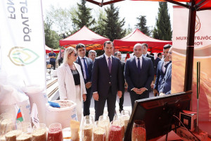 Şamaxıda növbəti toxum sərgi-satış yarmarkası keçirilib