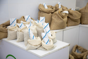 Latviya nümayəndə heyəti Tərəvəzçilik Elmi-Tədqiqat İnstitutunun fəaliyyəti ilə tanış olub